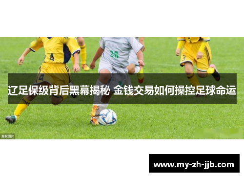 辽足保级背后黑幕揭秘 金钱交易如何操控足球命运 辽足保级背后黑幕揭秘 金钱交易如何操控足球命运